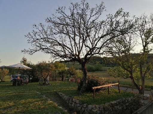 Casa Il Giuggiolo Giuncarico